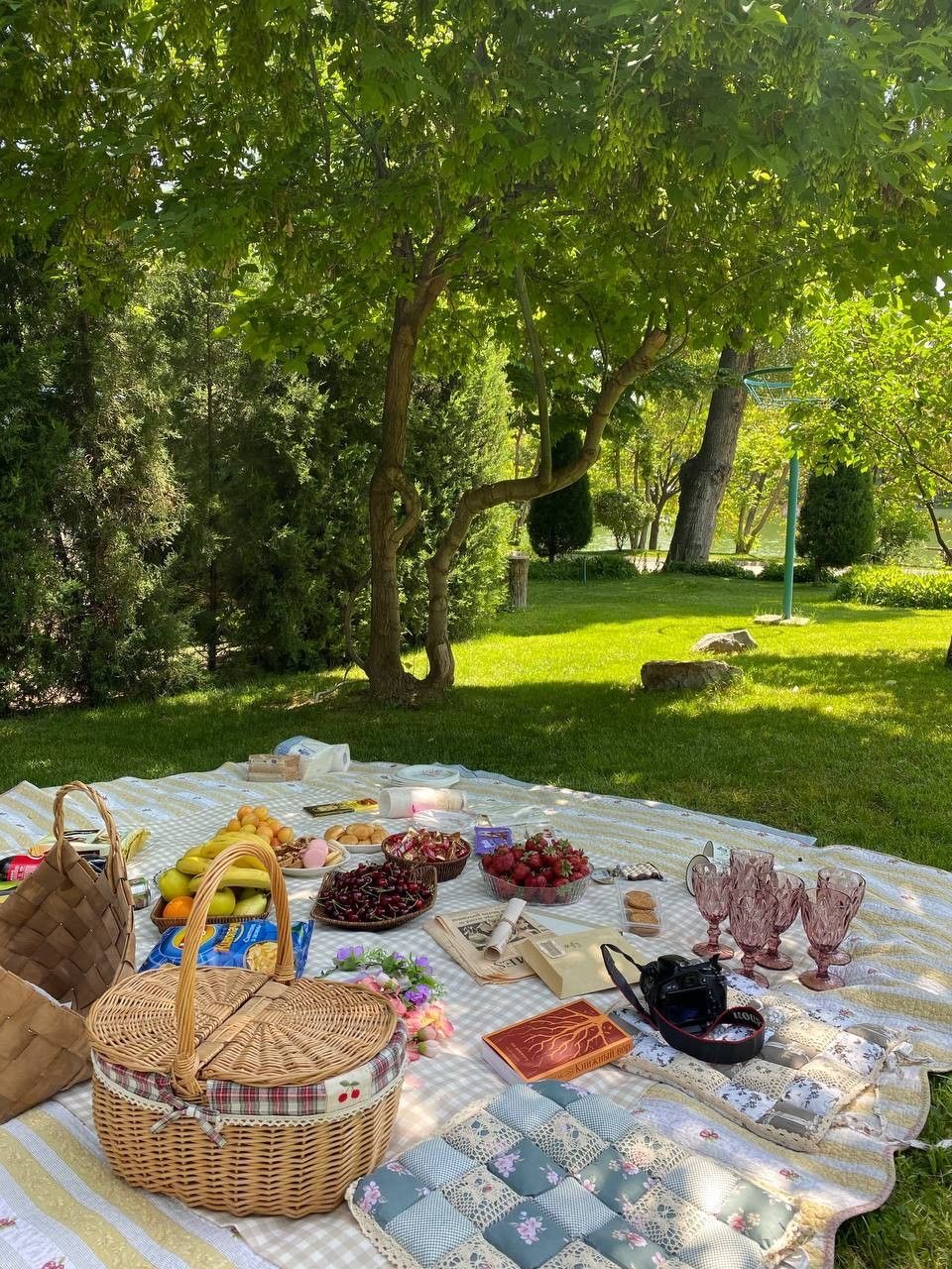 Пикник в парке Горького photo 1